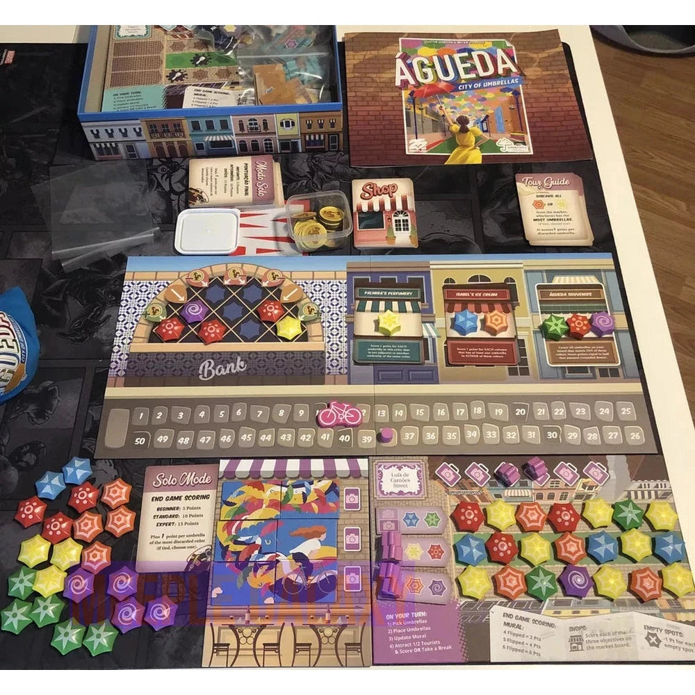 Agueda: City of Umbrellas