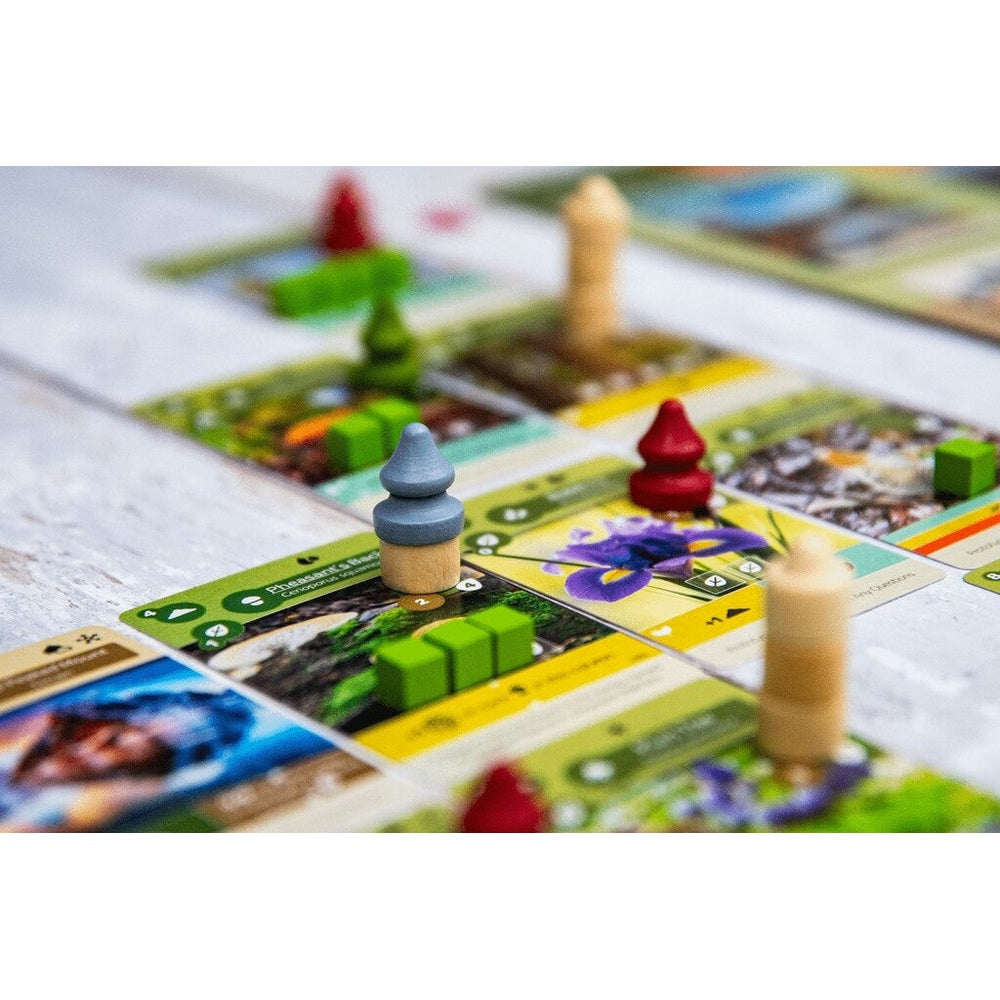 Earth Abundance Expansion