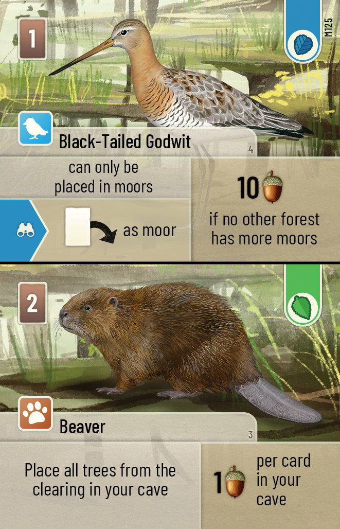 Forest Shuffle Dartmoor