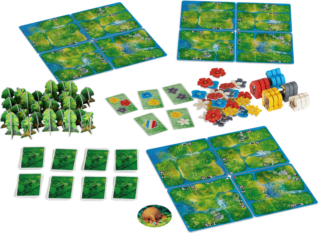 Hutan: Life in the Rainforest