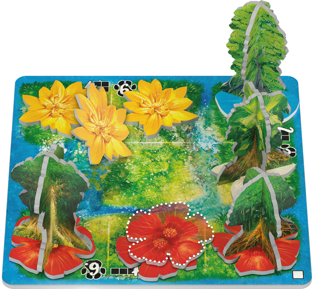 Hutan: Life in the Rainforest