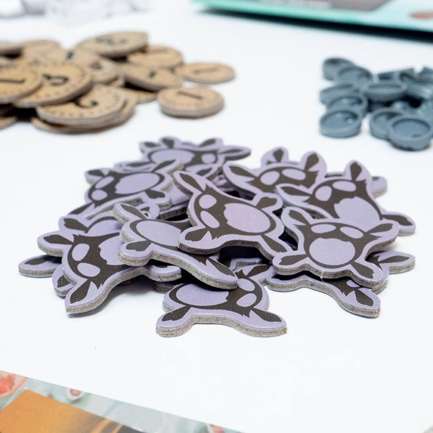 Spirit Island Core Game (2017)