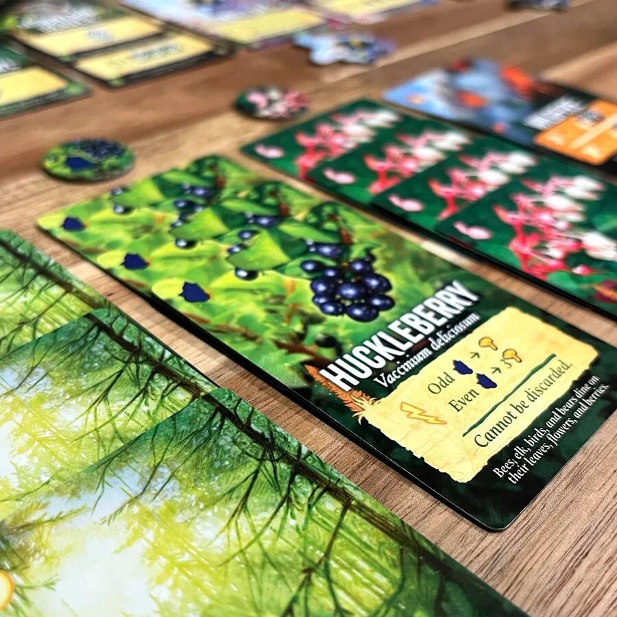 Canopy: Evergreen Retail Editon