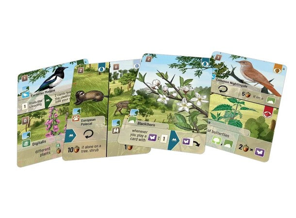 Forest Shuffle: woodland Edge Expansion