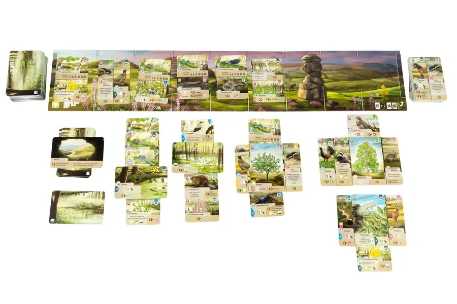 Forest Shuffle Dartmoor