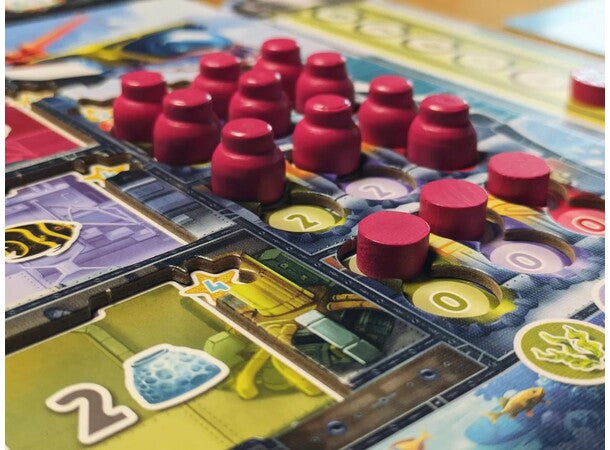 Reef Project